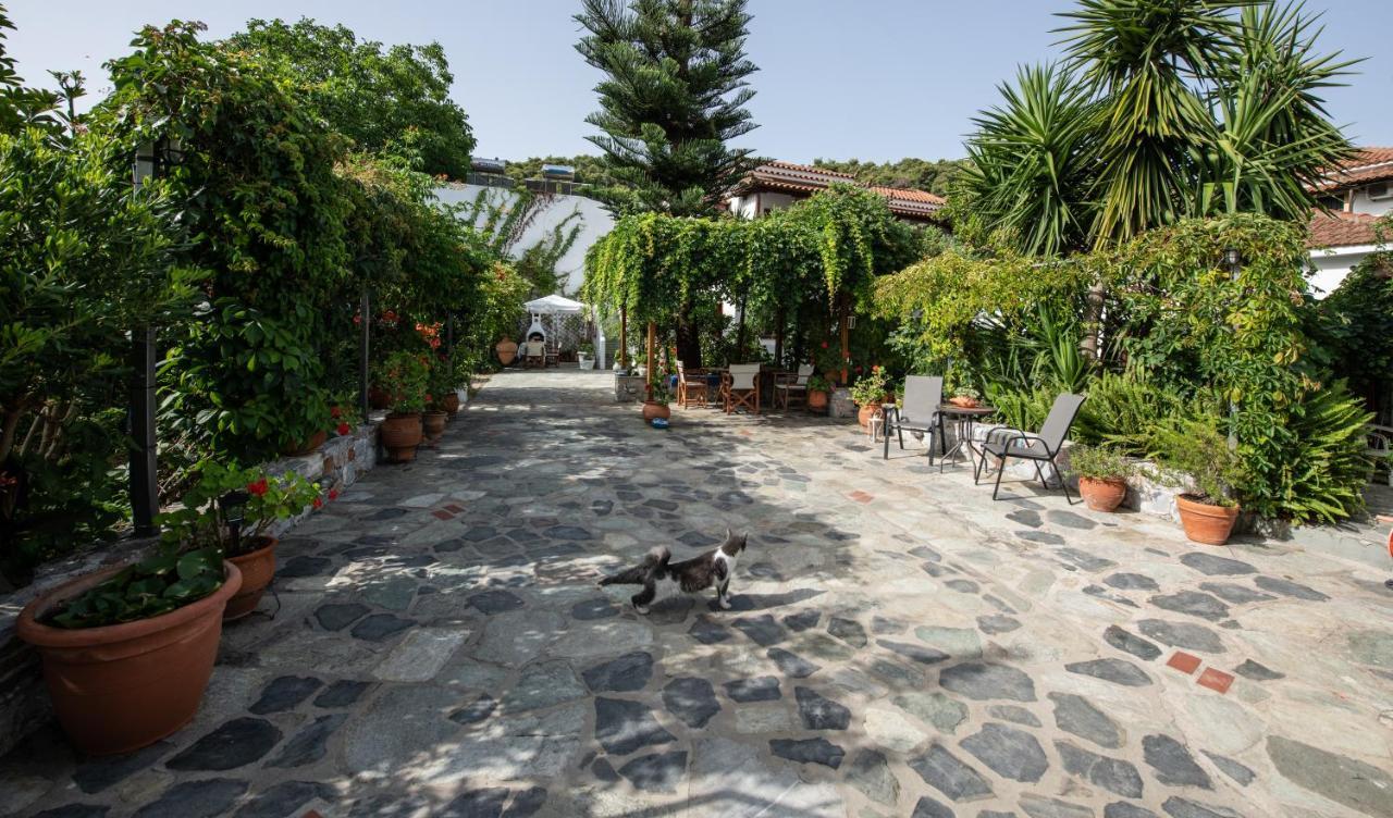 Katikies Stamatias Studios & Maisonettes Agnontas Ngoại thất bức ảnh