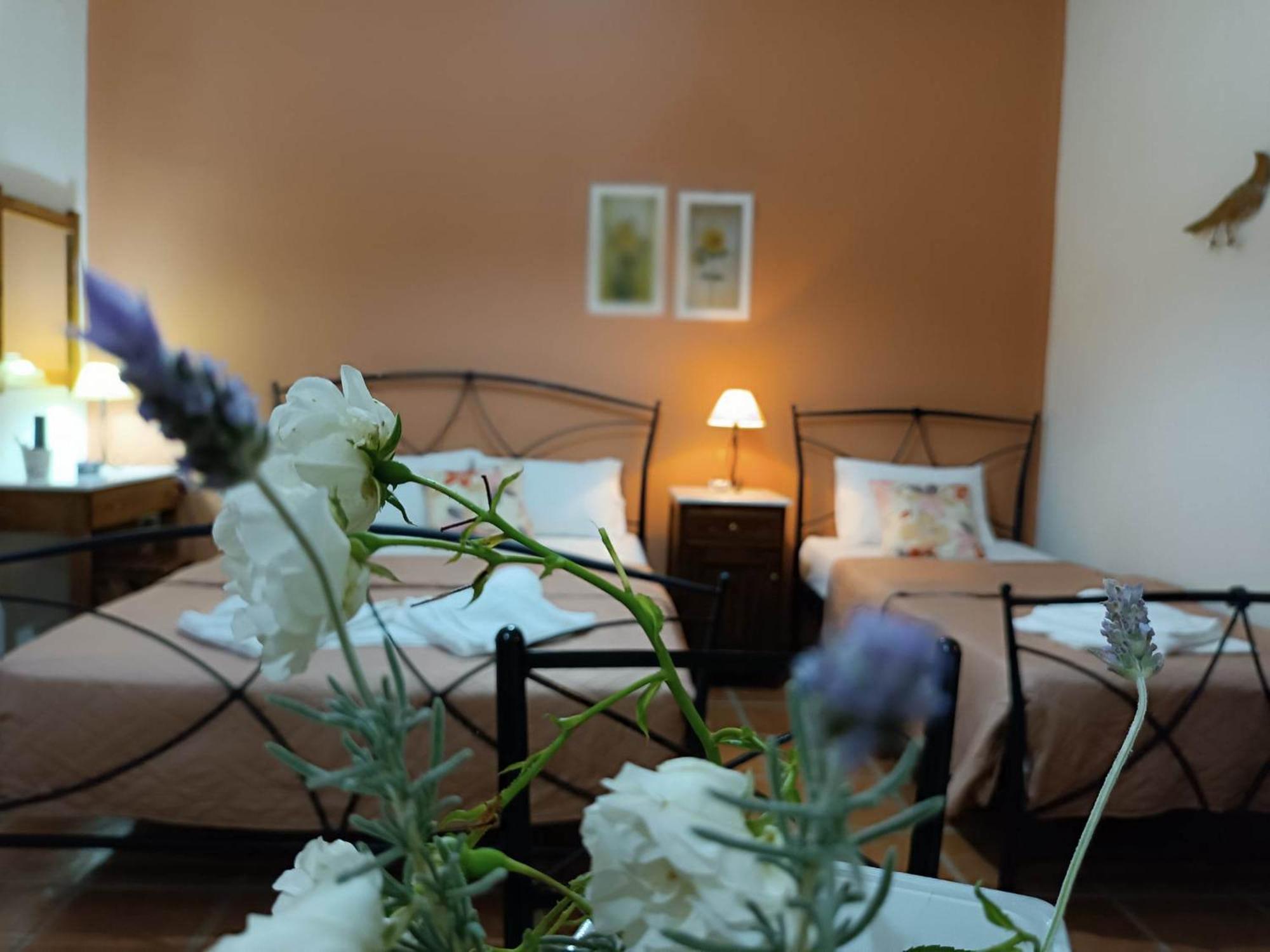 Katikies Stamatias Studios & Maisonettes Agnontas Ngoại thất bức ảnh