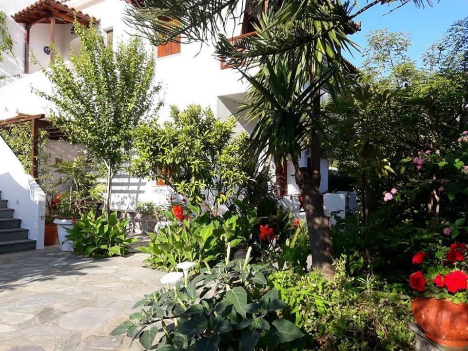 Katikies Stamatias Studios & Maisonettes Agnontas Ngoại thất bức ảnh